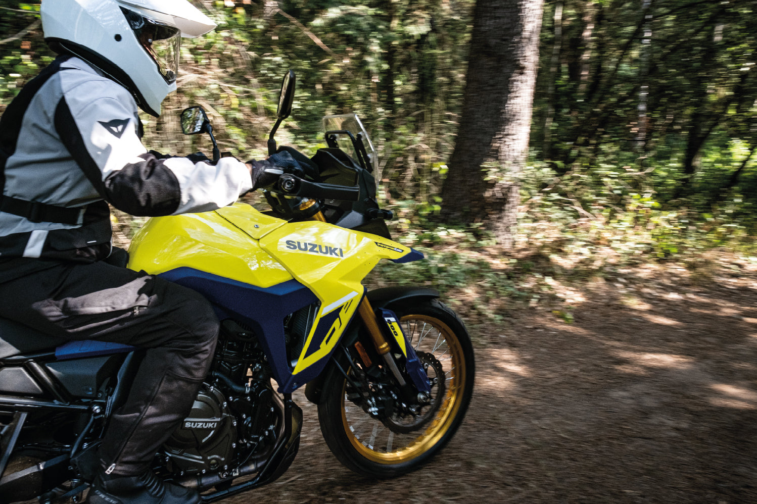 SUZUKI DE800 VSTROM 800