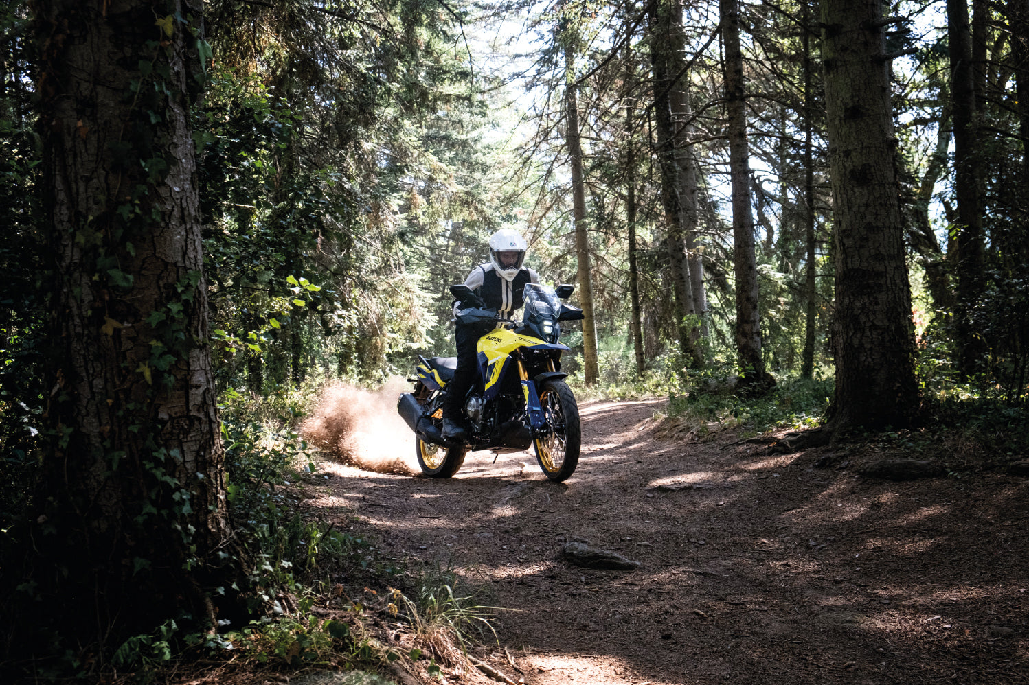 SUZUKI DE800 VSTROM 800