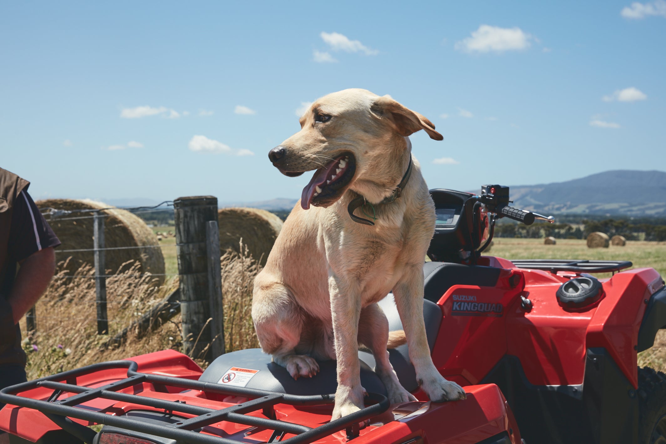 SUZUKI LT-A500XP KingQuad 500 Power Steer