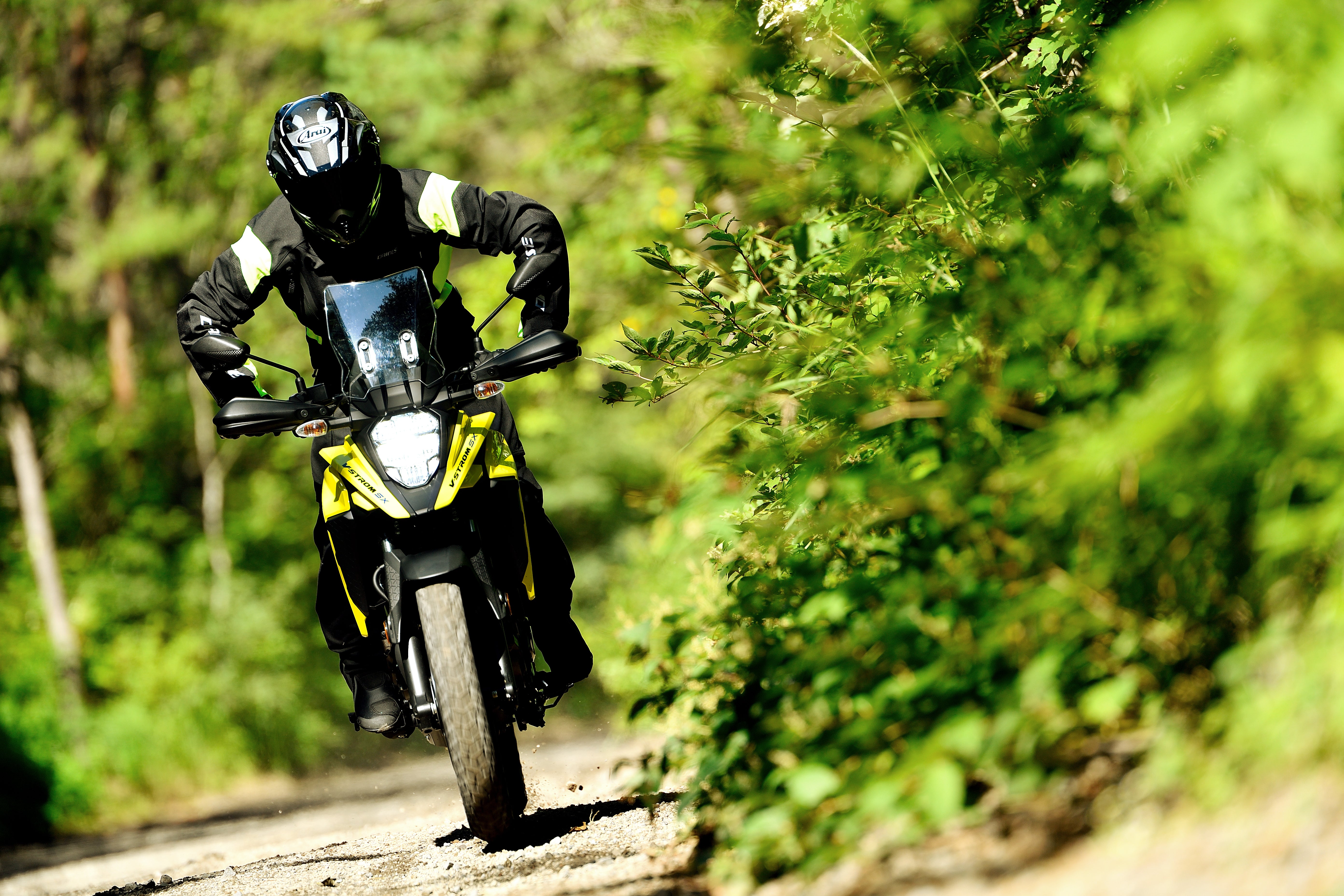 SUZUKI V-STROM 250SX